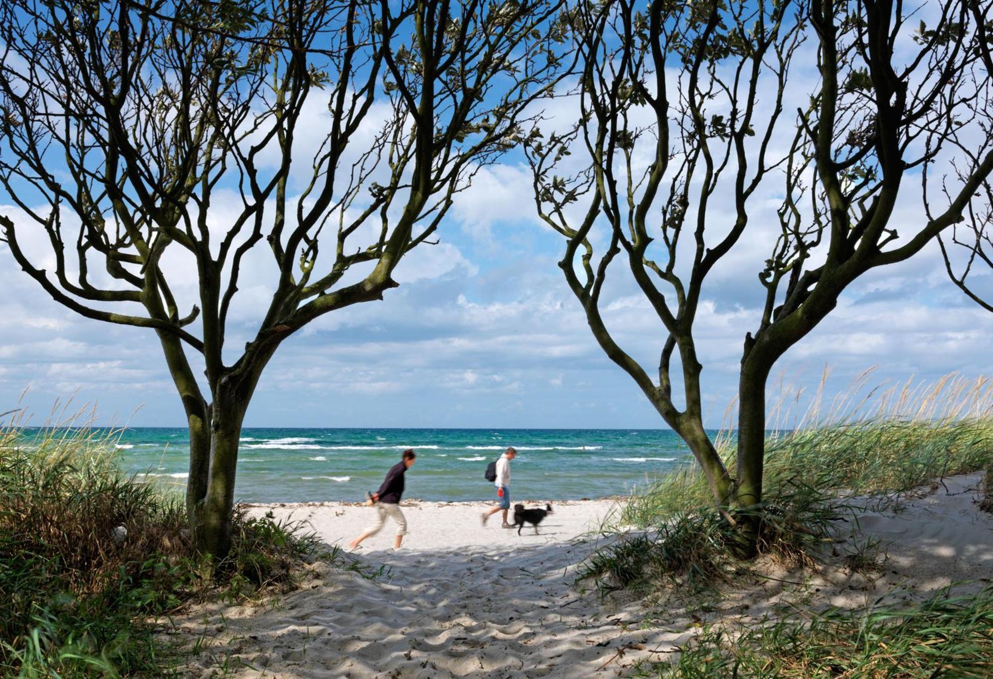 Daenische Ferienhaeuser Am Salzhaff Haus Kaept'N Nemo Insel Poel Esterno foto